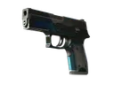 P250 | Valence (Battle-Scarred)