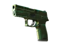 P250 | Verdigris (Battle-Scarred)