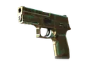 P250 | Verdigris (Well-Worn)