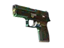P250 | Visions (Battle-Scarred)