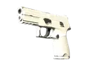 P250 | Whiteout (Field-Tested)