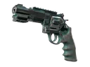 R8 Revolver | Canal Spray (Battle-Scarred)
