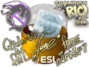 Rio 2022 Champions Autograph Capsule
