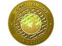 Rio 2022 Gold Coin