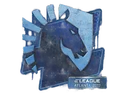 Sealed Graffiti | Team Liquid | Atlanta 2017