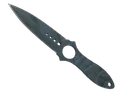 ★ Skeleton Knife | Night Stripe (Well-Worn)