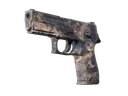 Souvenir P250 | Drought (Field-Tested)