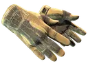 ★ Sport Gloves | Arid (Well-Worn)