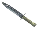 ★ StatTrak™ Bayonet | Stained (Factory New)