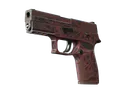 StatTrak™ P250 | Contaminant (Field-Tested)