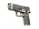 StatTrak™ P250 | Re.built (Factory New)
