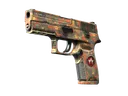 StatTrak™ P250 | Red Rock (Field-Tested)