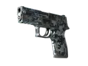StatTrak™ P250 | Steel Disruption (Field-Tested)