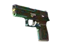 StatTrak™ P250 | Visions (Field-Tested)
