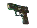 StatTrak™ P250 | Visions (Minimal Wear)