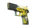 StatTrak™ P250 | Wingshot (Field-Tested)