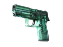 StatTrak™ P250 | X-Ray (Field-Tested)