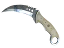 ★ StatTrak™ Talon Knife | Stained (Minimal Wear)
