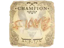 Sticker | FlameZ (Champion) | Austin 2025