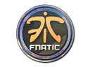 Sticker | Fnatic (Holo) | Cologne 2014