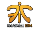 Sticker | Fnatic (Holo) | Katowice 2014