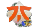 Sticker | Fnatic | Rio 2022