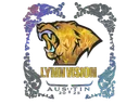 Sticker | Lynn Vision (Holo) | Austin 2025