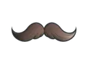 Sticker | Mustachio (Foil)