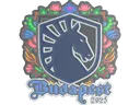 Sticker | Team Liquid (Embroidered) | Budapest 2025