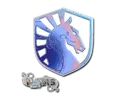 Sticker | Team Liquid (Holo) | Paris 2023