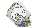 Sticker | Team Spirit | Rio 2022
