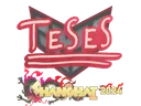 Sticker | TeSeS | Shanghai 2024