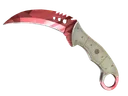 ★ Talon Knife | Slaughter (Factory New)