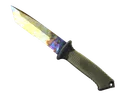 ★ Ursus Knife | Case Hardened (Well-Worn)