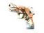 item-image