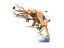 item-image