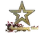 Sticker | Complexity Gaming (Gold) | Shanghai 2024
