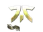 Sticker | Fnatic (Gold) | Paris 2023