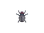 item-image