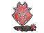 Sticker | G2 Esports (Holo) | Antwerp 2022