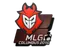 Sticker | G2 Esports | MLG Columbus 2016