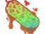 item-image