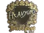 item-image