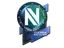 Sticker | Team EnVyUs (Holo) | Boston 2018