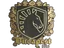 Sticker | Team Liquid (Gold) | Budapest 2025