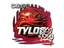 Sticker | TYLOO | 2020 RMR